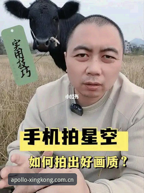 星空娱乐平台老用户实测：2026新版和旧版到底差在哪？这份使用心得够实在